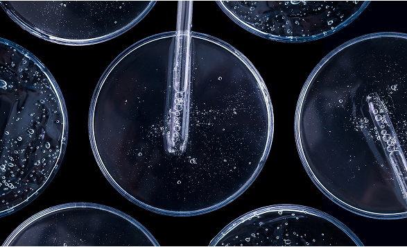 testnig-pipette-petri-dish